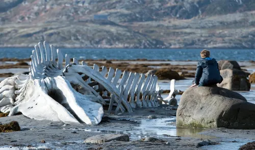 Szene aus Leviathan