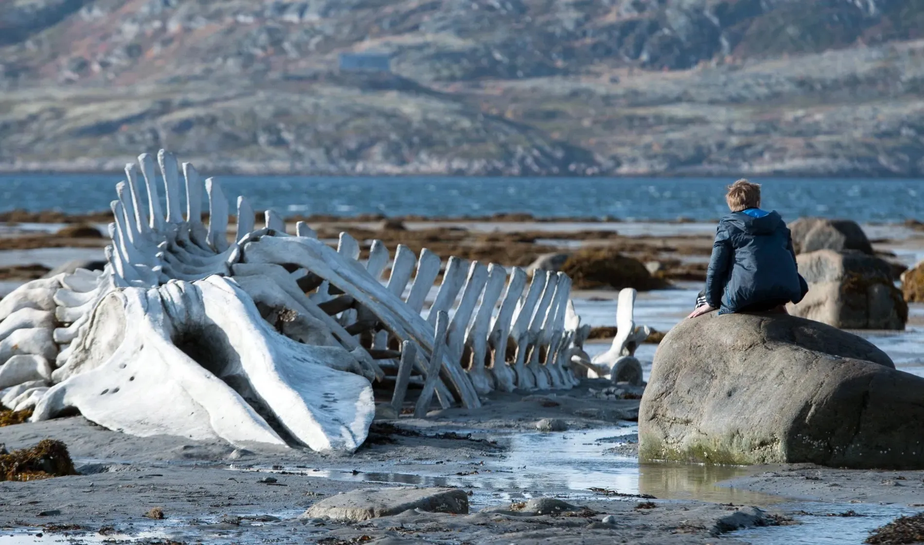 Szene aus Leviathan