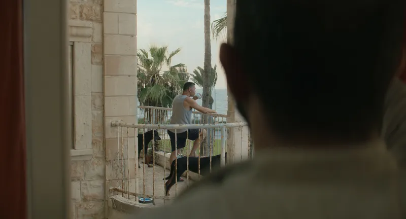 Szene aus Mediterranean Fever
