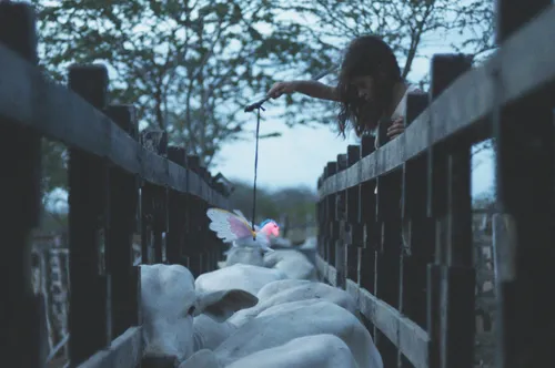Szene aus Neon Bull
