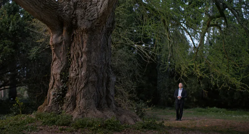 Scene from Silent Friend