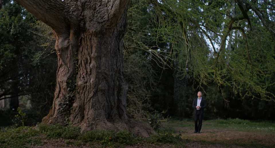 Scene from Silent Friend