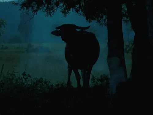 Szene aus Uncle Boonmee